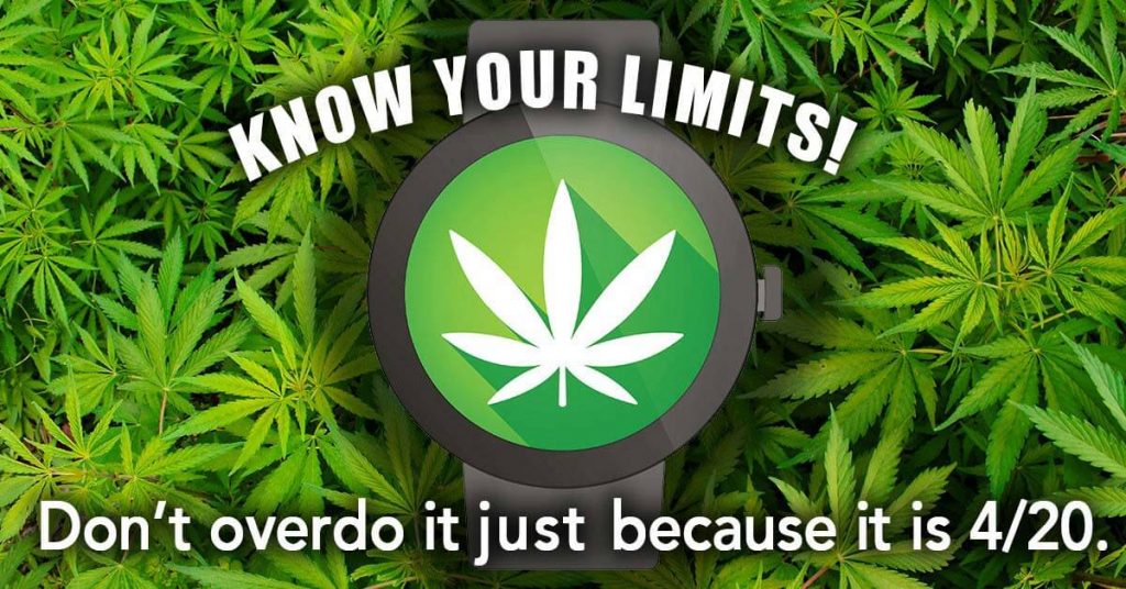 Do not consume too much marijuana